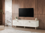 Vega TV Sehpası 1